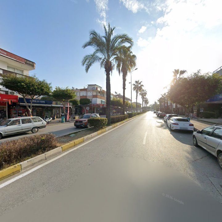 Fotoğraf 12