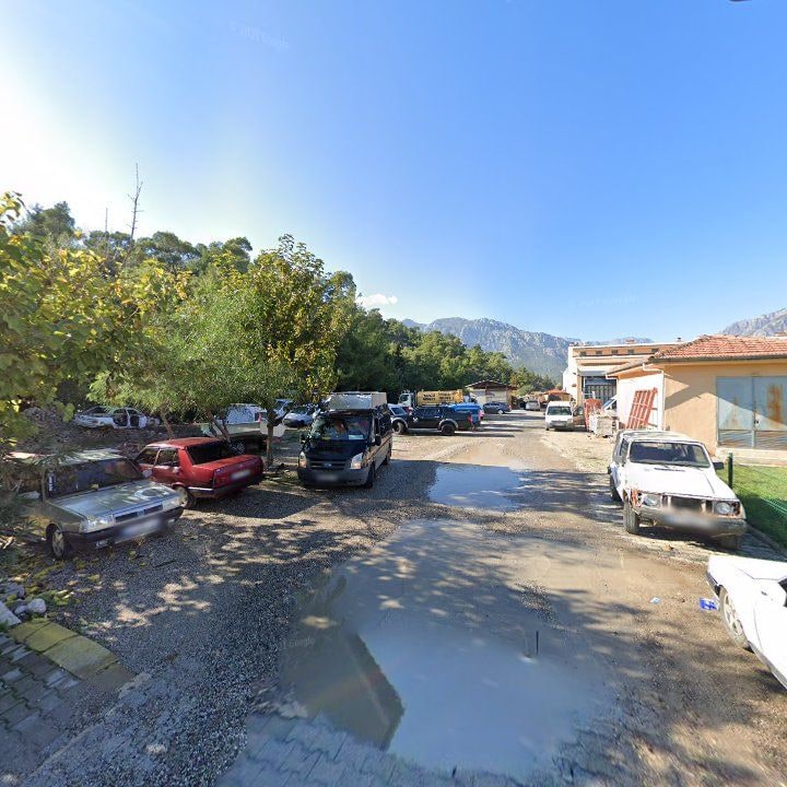 Fotoğraf 8