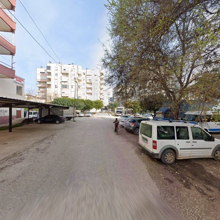 Fotoğraf 6