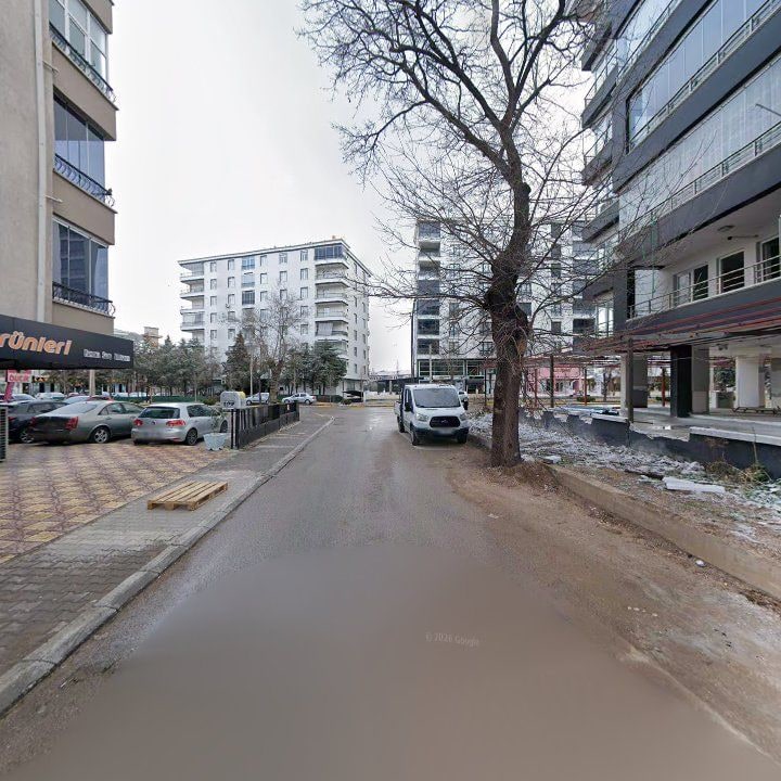 Fotoğraf 4