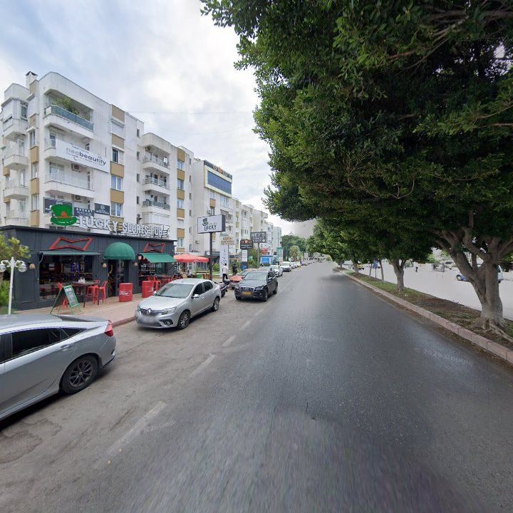 Fotoğraf 8