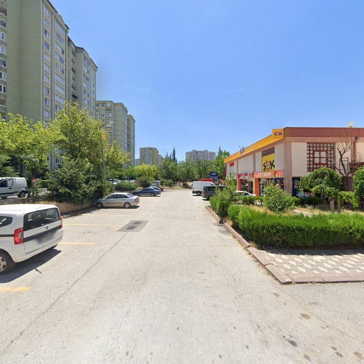 Fotoğraf 10