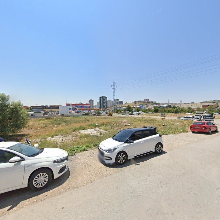 Fotoğraf 8