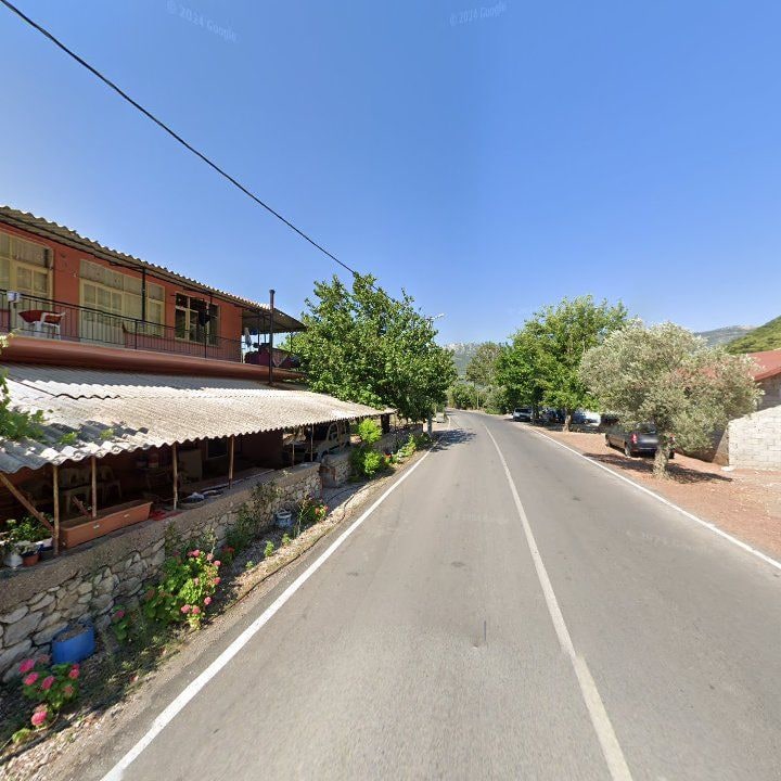 Fotoğraf 12