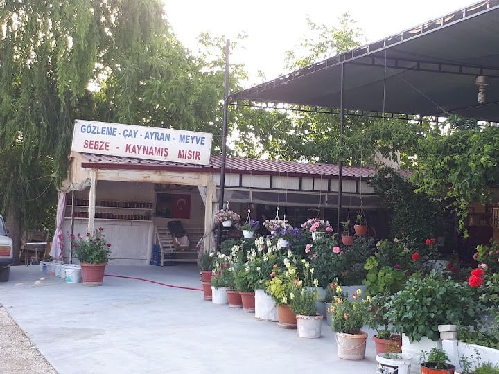 Hanımeli Gözlemecisi - Durkadın Teyze'nin Yeri