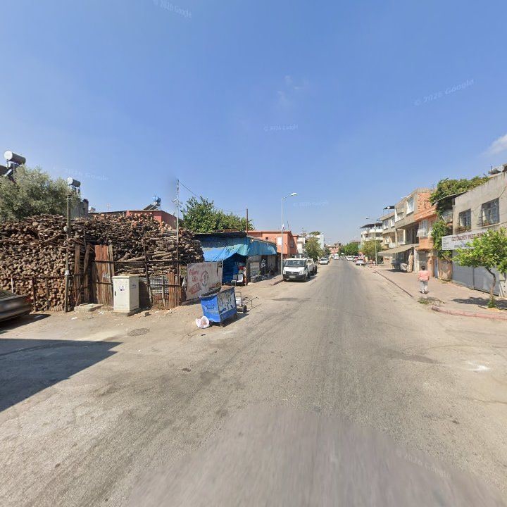 Fotoğraf 10