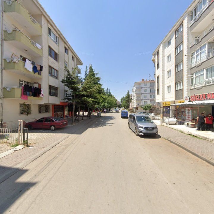 Fotoğraf 8