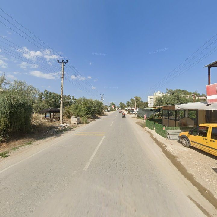 Fotoğraf 10