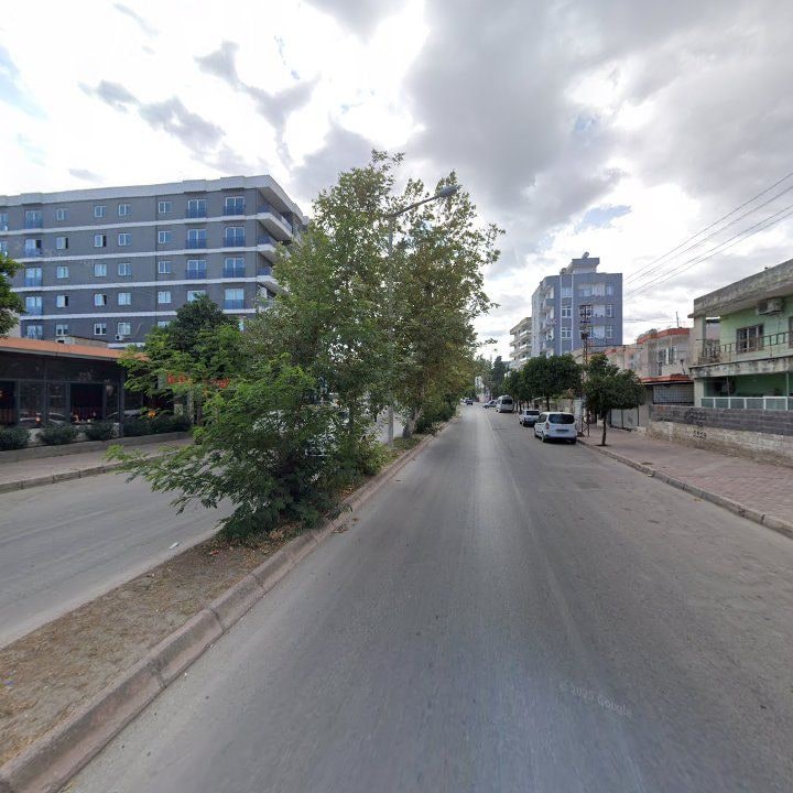Fotoğraf 6