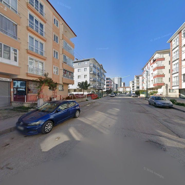Fotoğraf 7