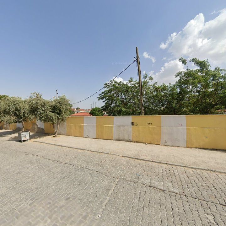 Fotoğraf 8