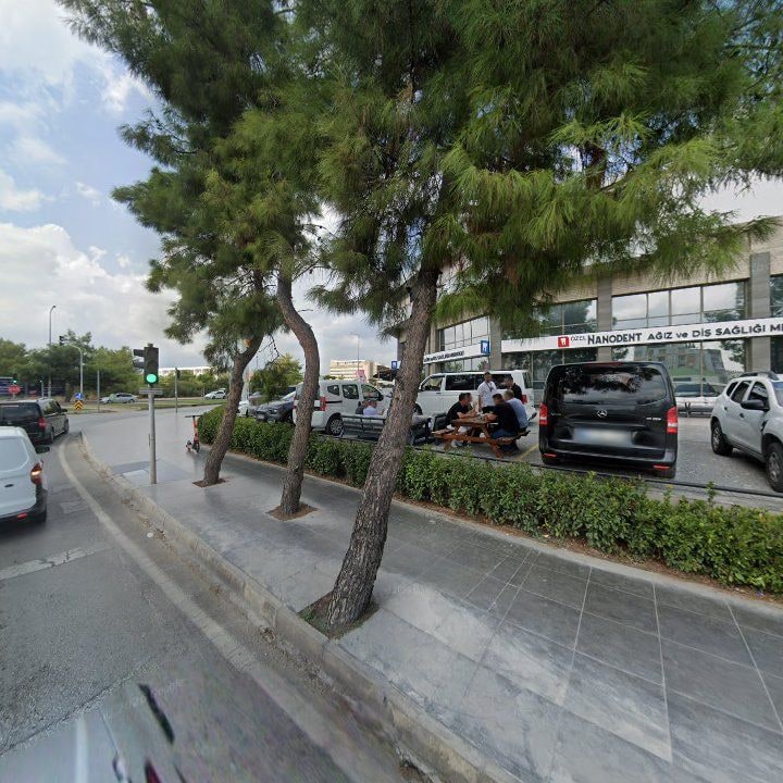 Fotoğraf 8
