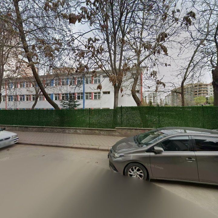 Fotoğraf 10