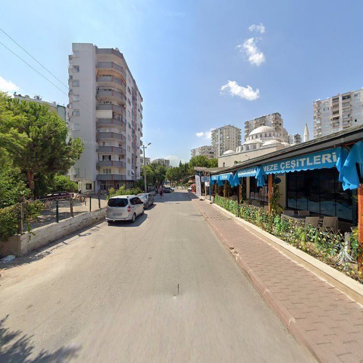 Fotoğraf 8