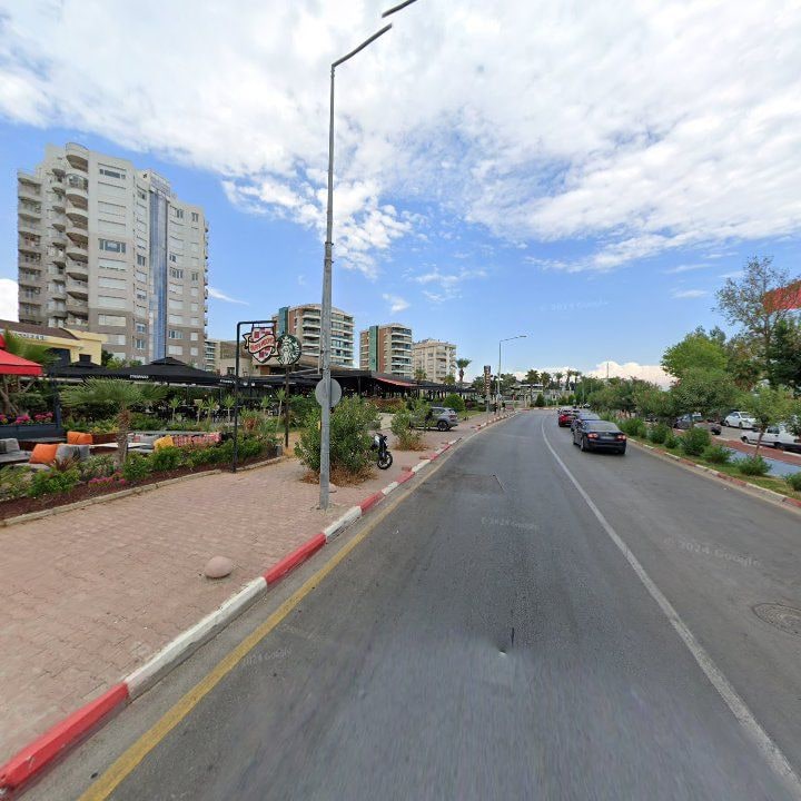 Fotoğraf 13