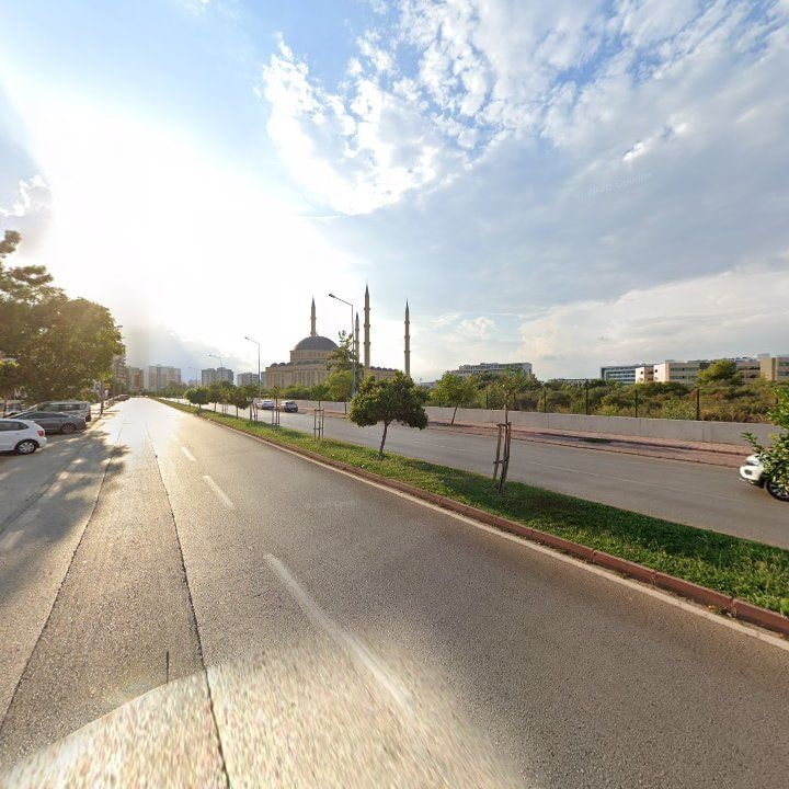 Fotoğraf 10