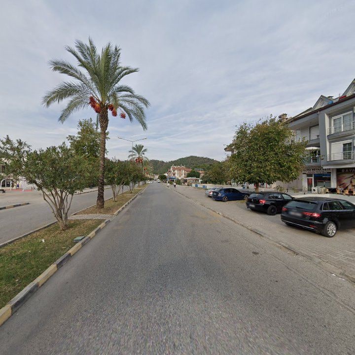 Fotoğraf 10