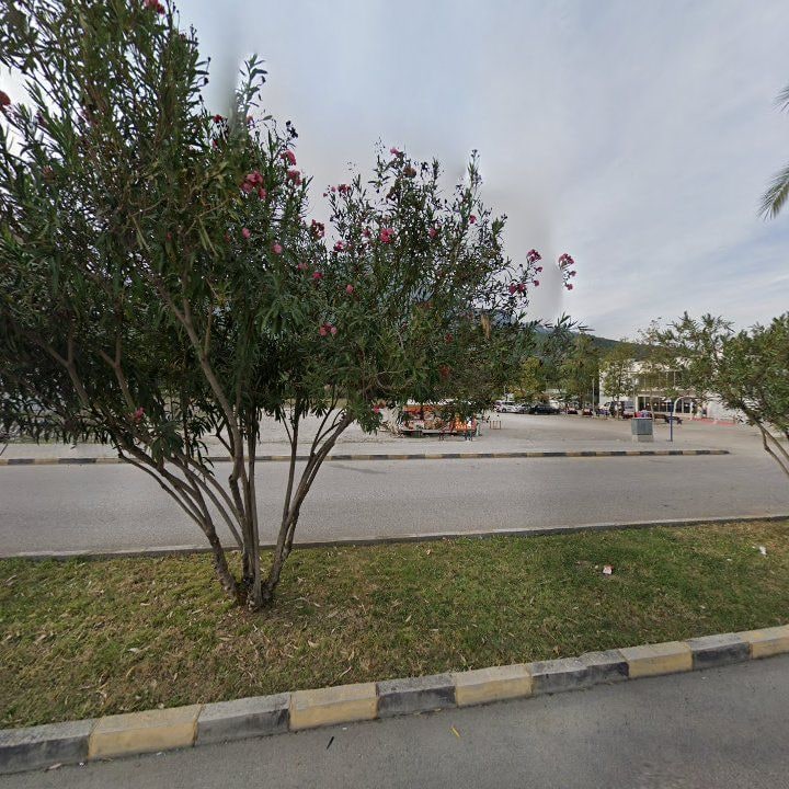 Fotoğraf 9