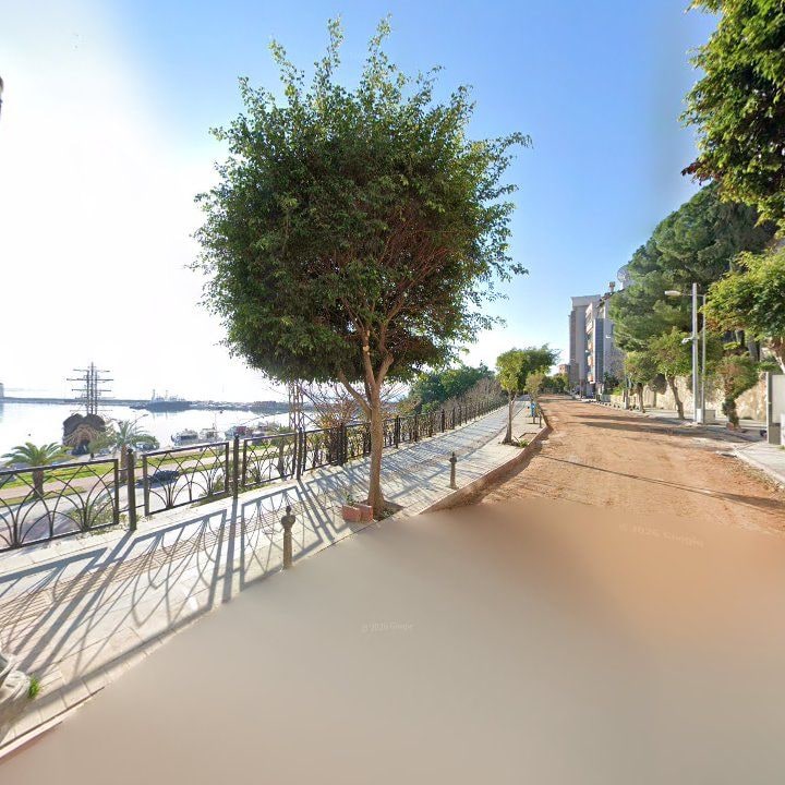 Fotoğraf 12