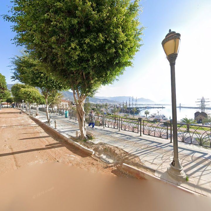 Fotoğraf 11