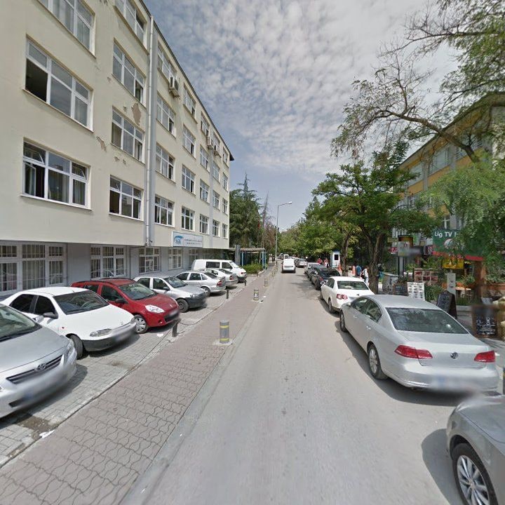 Fotoğraf 11