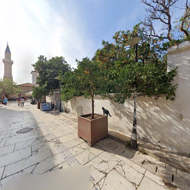 Fotoğraf 6