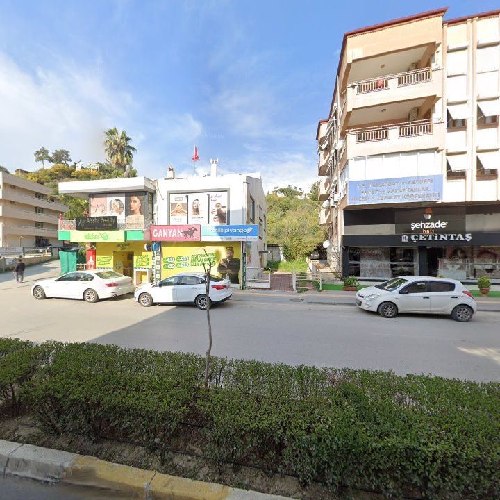 Fotoğraf 11