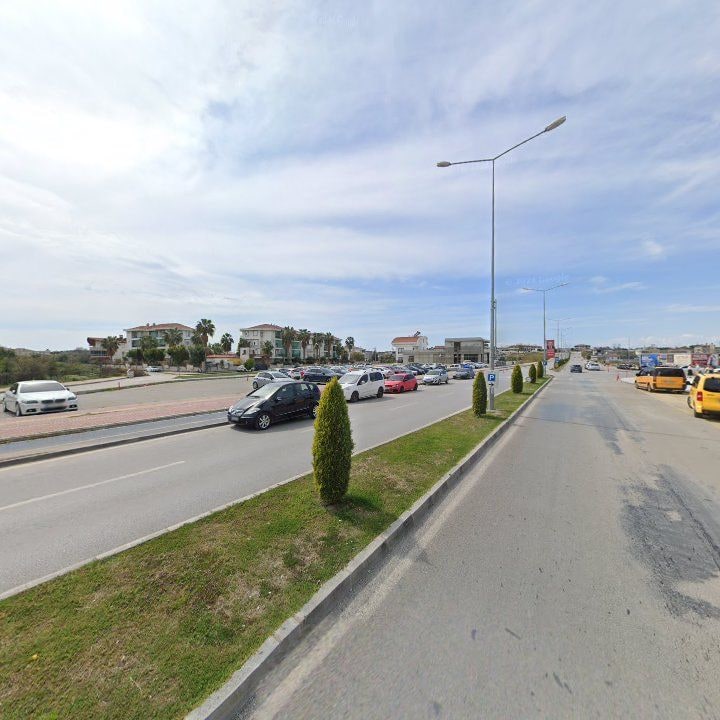 Fotoğraf 10