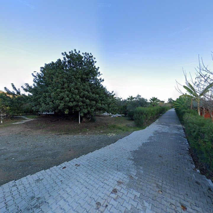 Fotoğraf 12