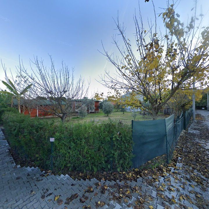 Fotoğraf 13