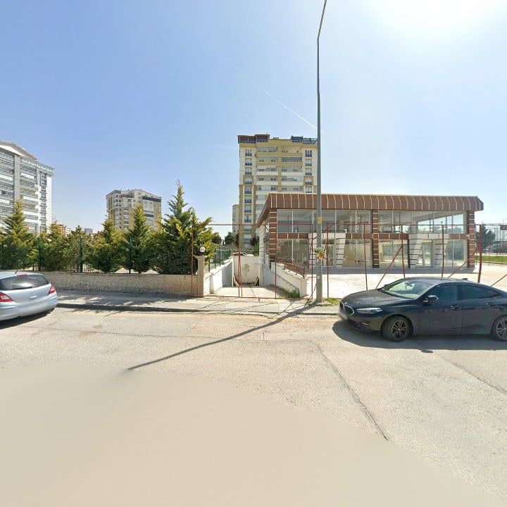 Fotoğraf 11