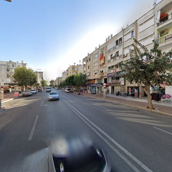 Fotoğraf 11