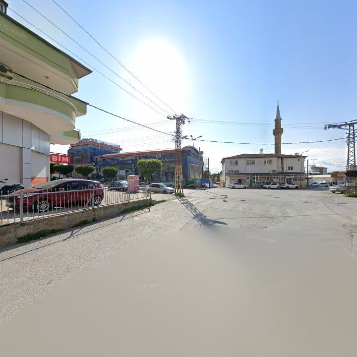 Fotoğraf 11