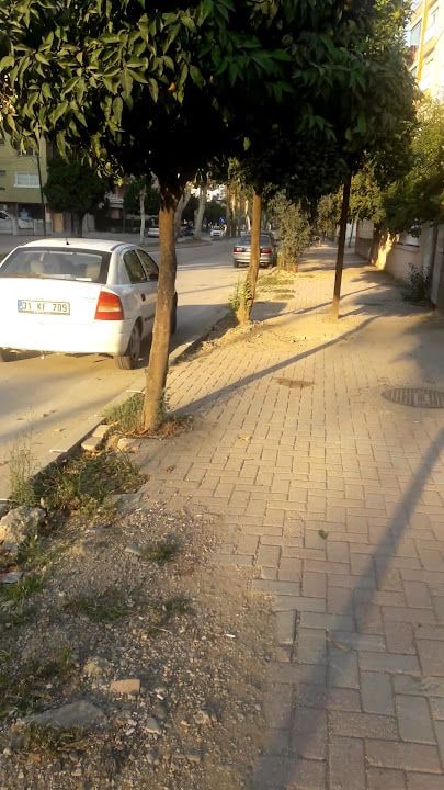 Fotoğraf 3