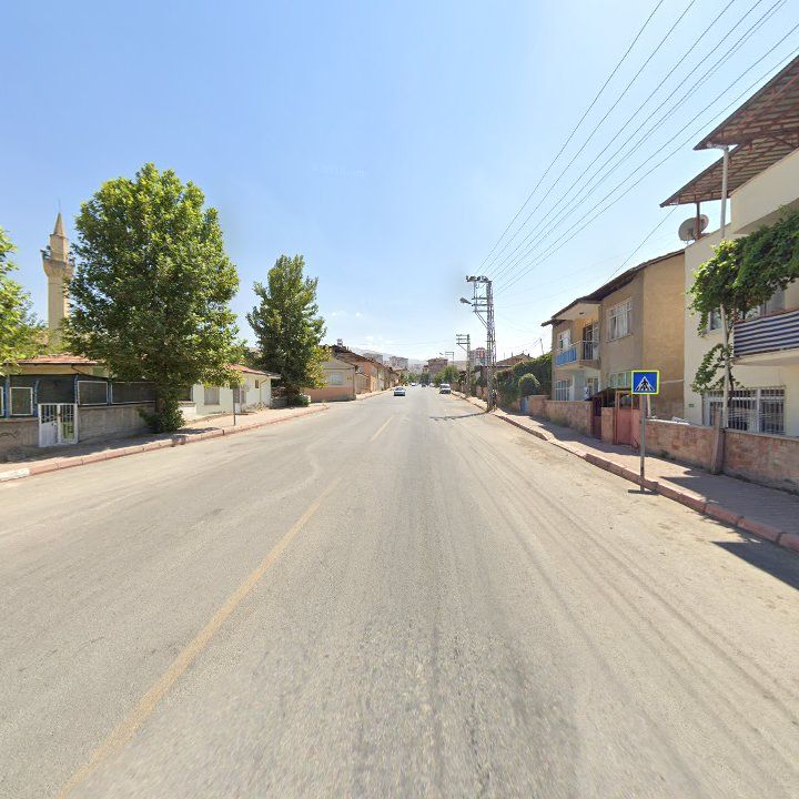 Fotoğraf 9