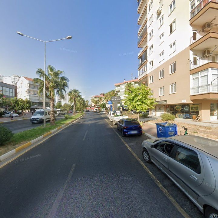 Fotoğraf 10