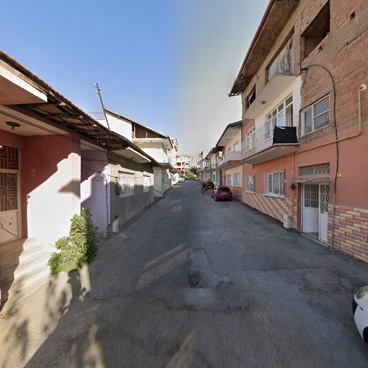 Fotoğraf 7