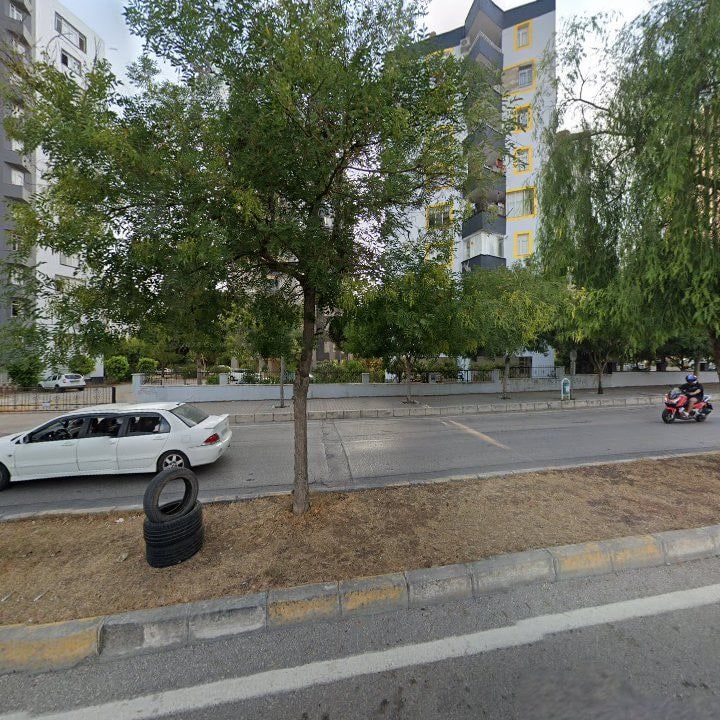 Fotoğraf 6