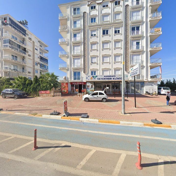 Fotoğraf 7