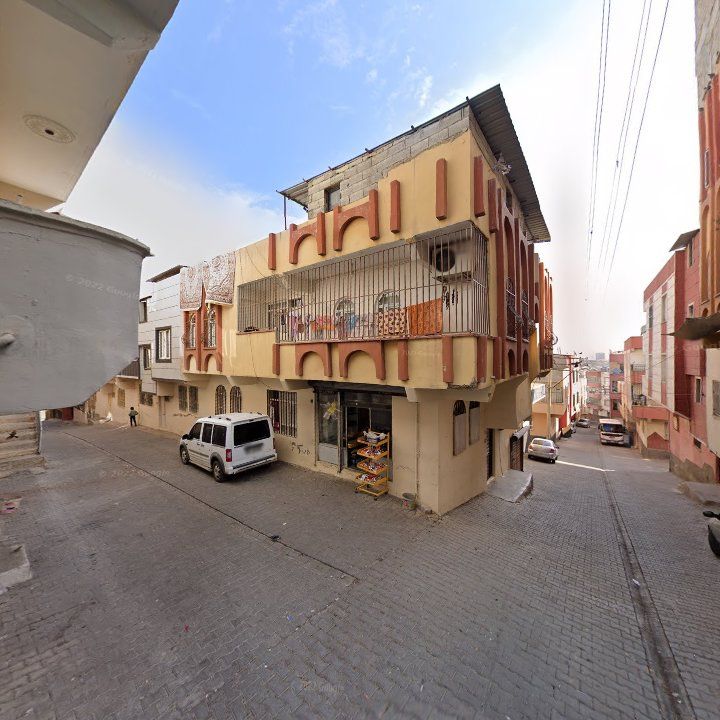 Fotoğraf 6