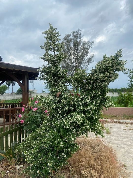 Hasan Yücel Çiftliği