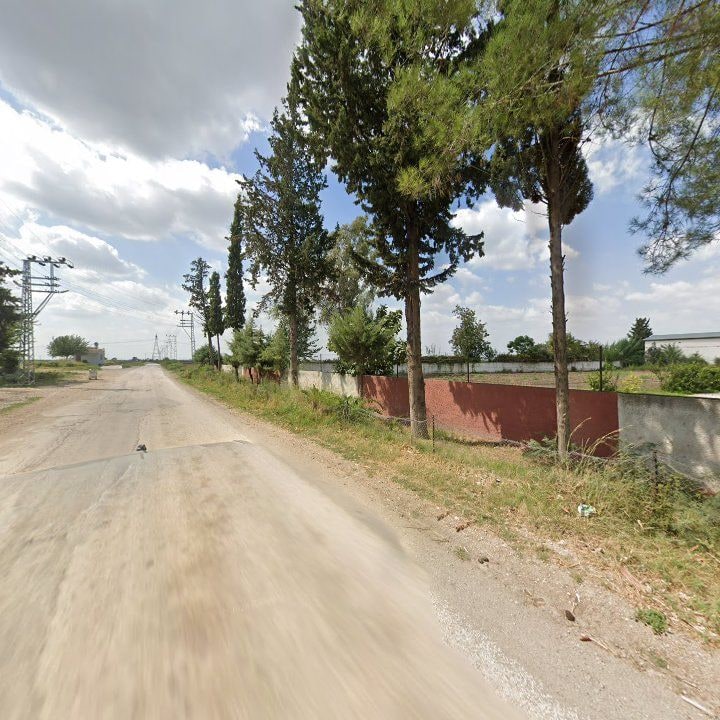 Fotoğraf 7