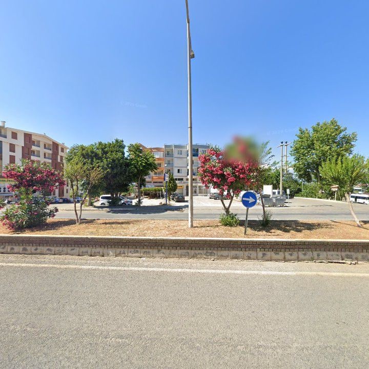 Fotoğraf 12