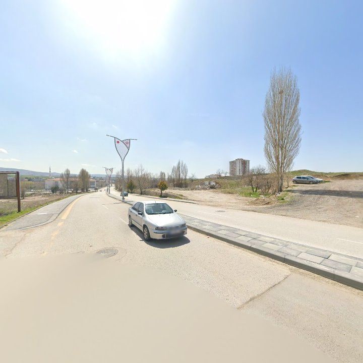 Fotoğraf 9