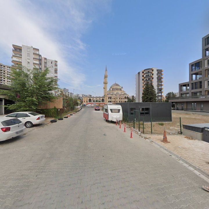Fotoğraf 8
