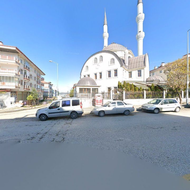 Fotoğraf 6
