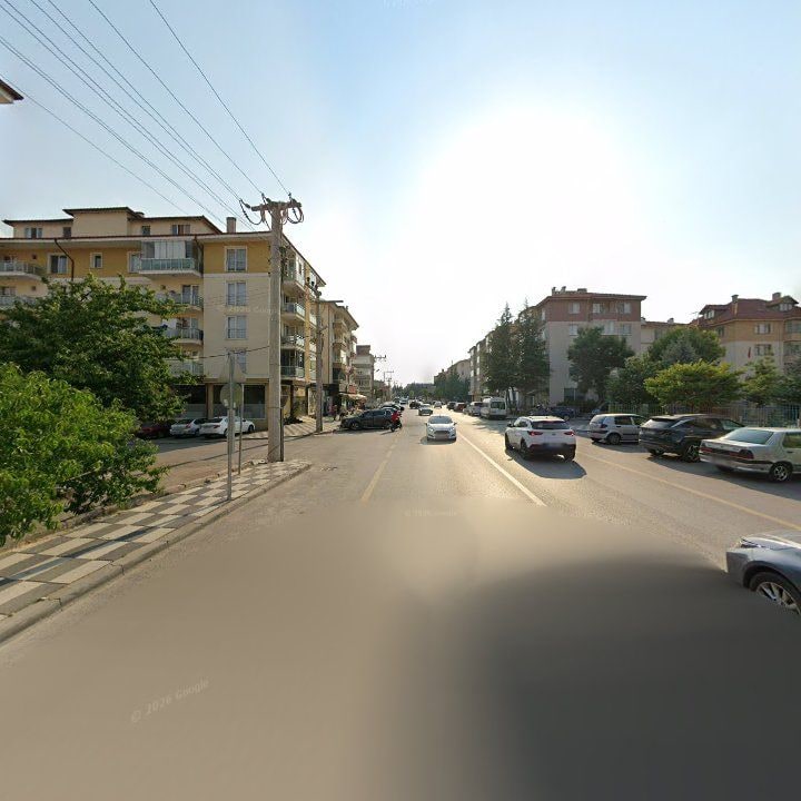 Fotoğraf 9