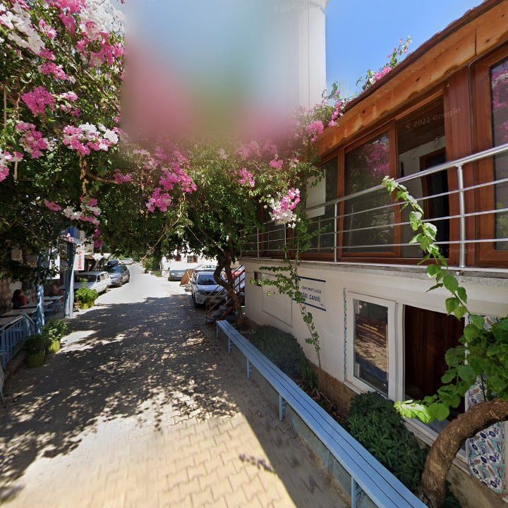 Fotoğraf 12