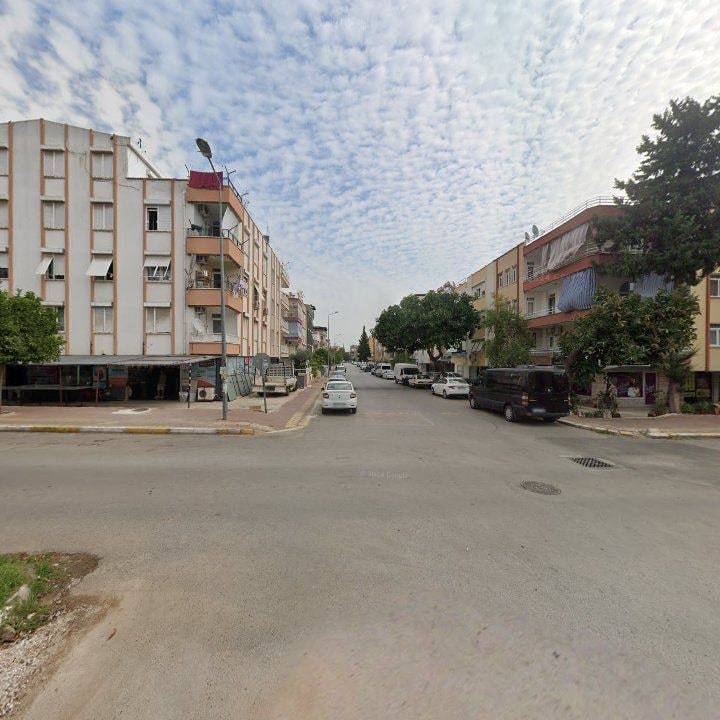 Fotoğraf 7