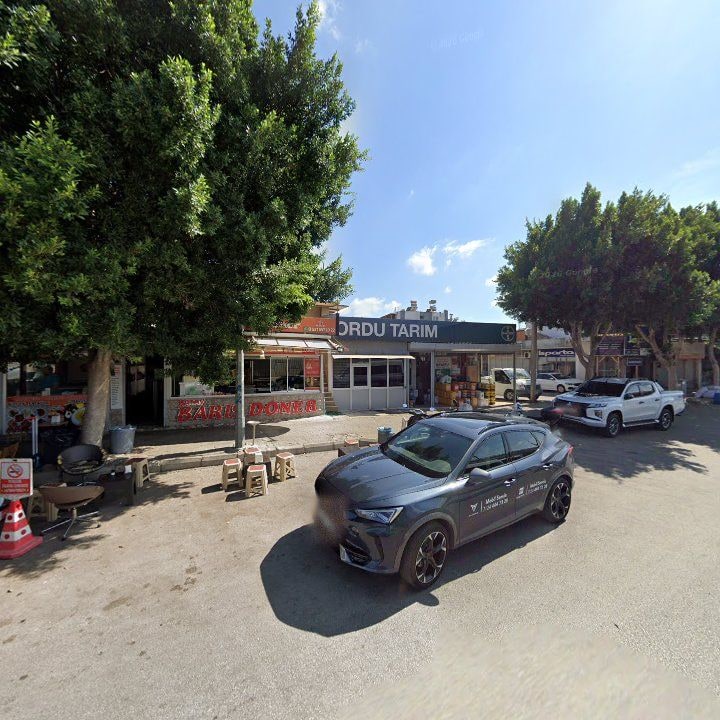 Fotoğraf 8